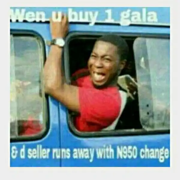 Funny Photo Of The Day